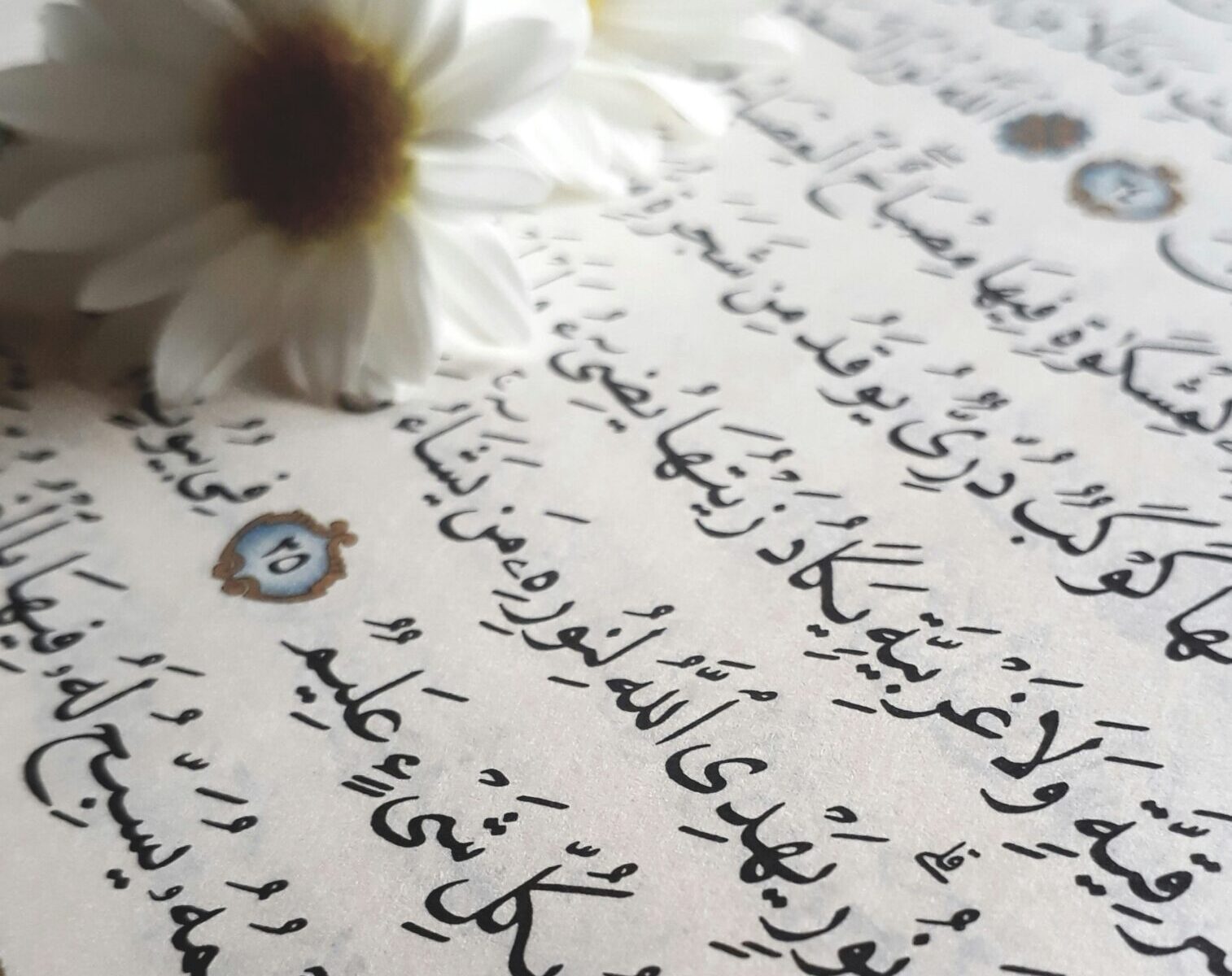Indo-iranian fasttxt.es